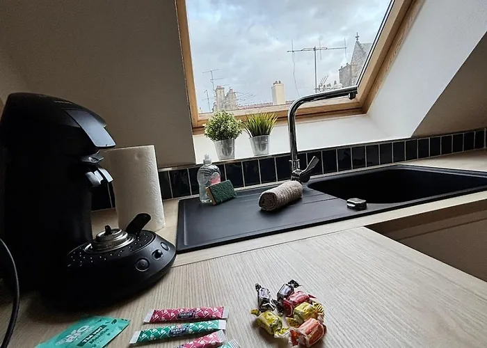 La Reception Des Ducs - Centre Historique * Digione