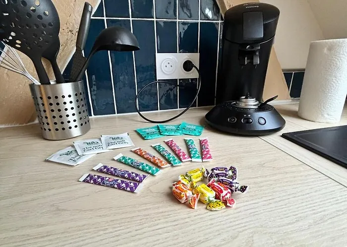 La Reception Des Ducs - Centre Historique Appartement