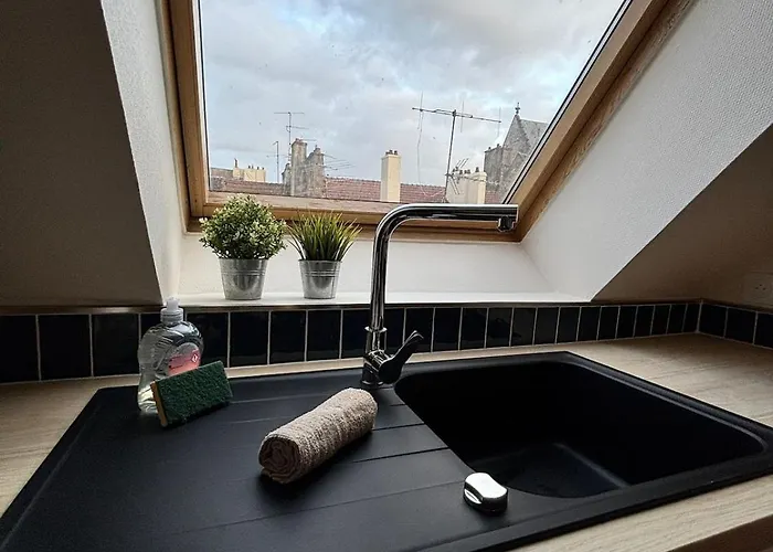 La Reception Des Ducs - Centre Historique Apartment Dijon