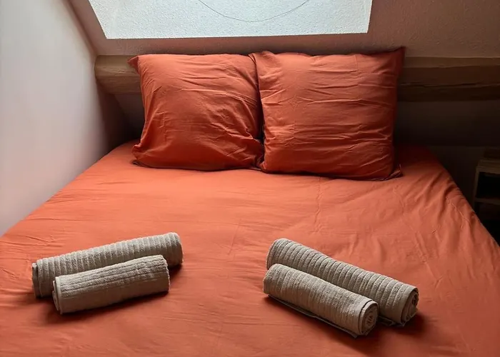 La Reception Des Ducs - Centre Historique *