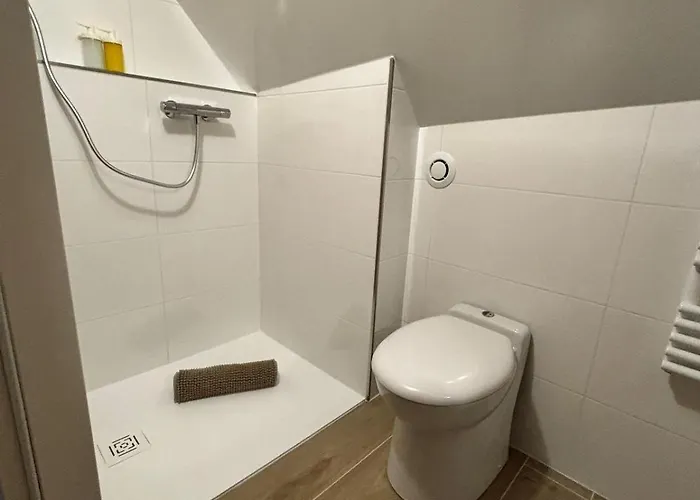 La Reception Des Ducs - Centre Historique Apartment Dijon