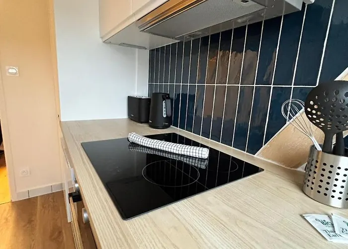 La Reception Des Ducs - Centre Historique * Digione