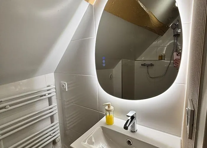 Appartamento La Reception Des Ducs - Centre Historique *