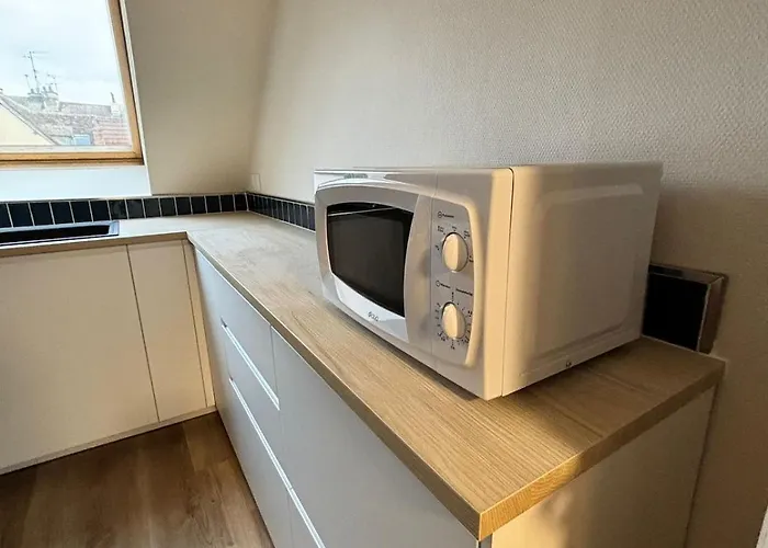 La Reception Des Ducs - Centre Historique * Dijon