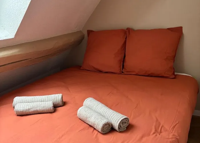 Apartment La Reception Des Ducs - Centre Historique Dijon